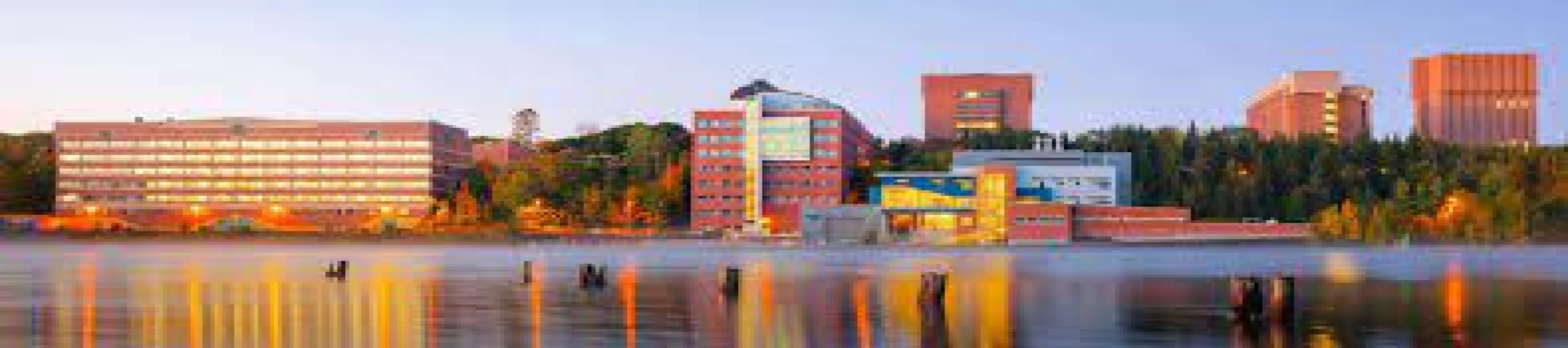 Sports and Fitness Management